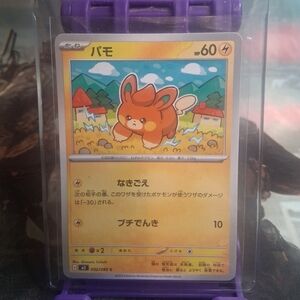 Pokémon Trading Card
